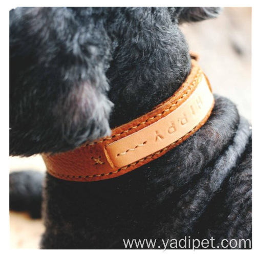 custom logo dog pet products for dog collar